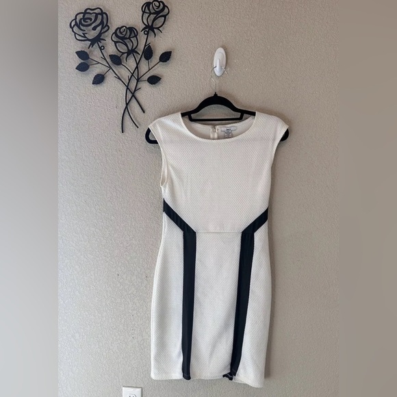 Bar III Dresses & Skirts - New Bar iii Form Fitting Business Casual White and Black Dress Size Small